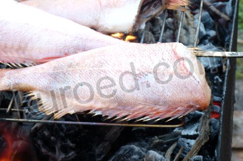 Морской окунь на гриле, пошаговое приготовление - рыбу выложить на решетку для гриля