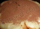 Абрикосовый хлебный пудинг Абрикосовый хлебный пудинг из хлебных крошек с заварным кремом