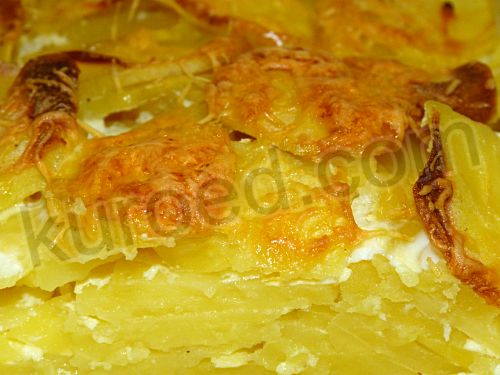 Gratin dauphinois